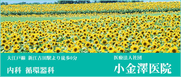 中野区 医療法人社団 小金澤医院